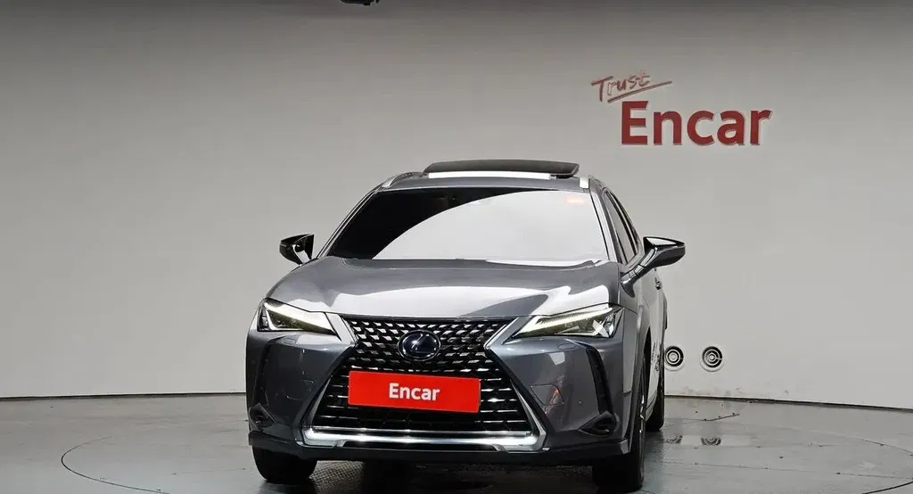 Zdjęcie: 2019 Lexus UX