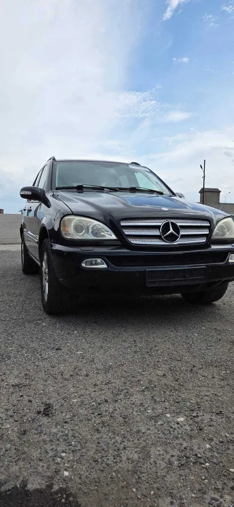 Zdjęcie: 2004 Mercedes-Benz ML Klasa