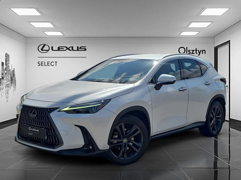Zdjęcie: 2022 Lexus NX