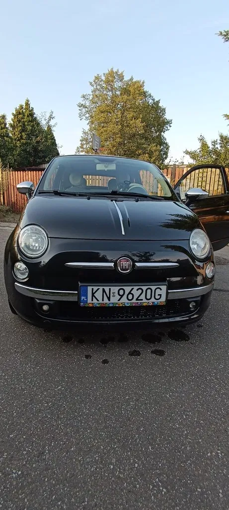 Zdjęcie: 2013 Fiat 500