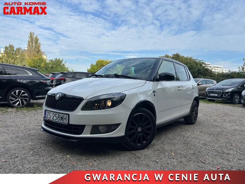 Zdjęcie: 2013 Skoda Fabia