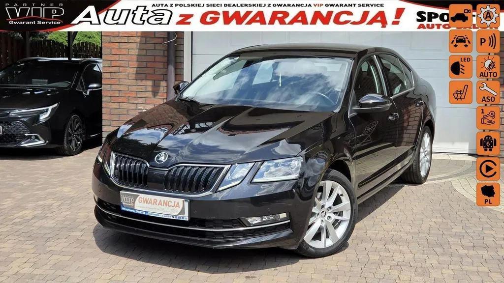 Zdjęcie: 2019 Skoda Octavia