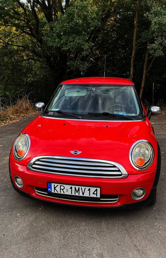Zdjęcie: 2010 Mini One