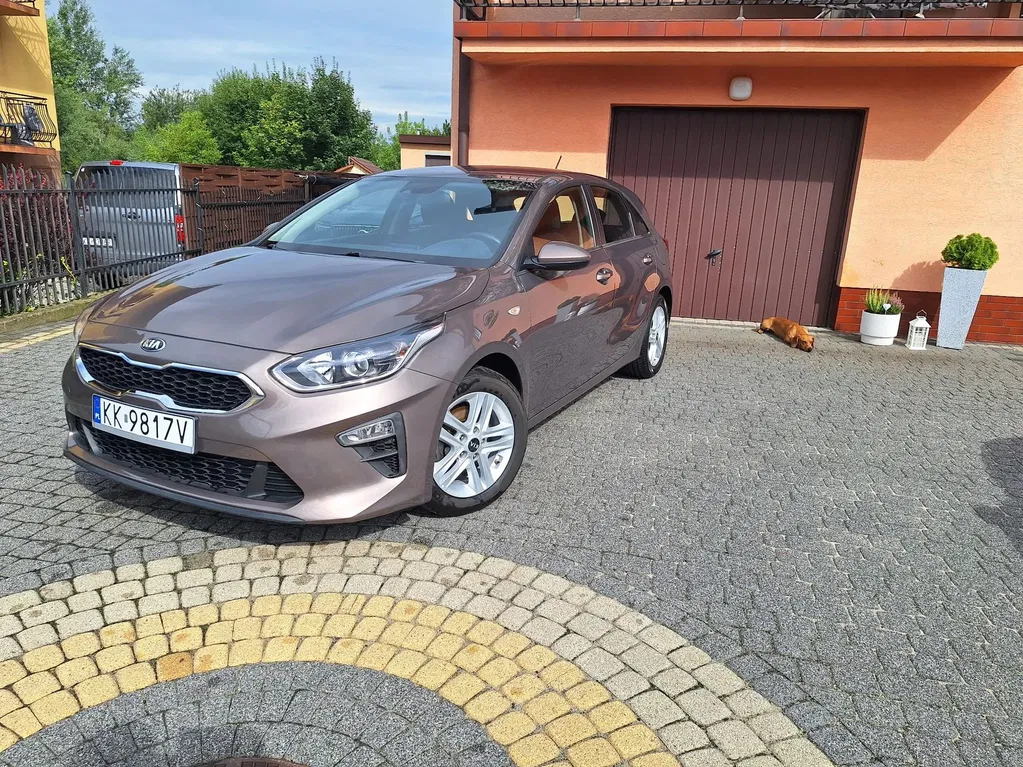 Zdjęcie: 2019 Kia Cee'd