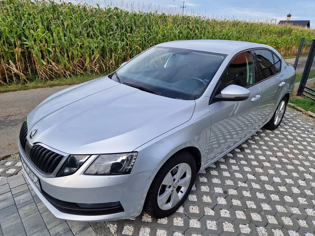 Zdjęcie: 2018 Skoda Octavia