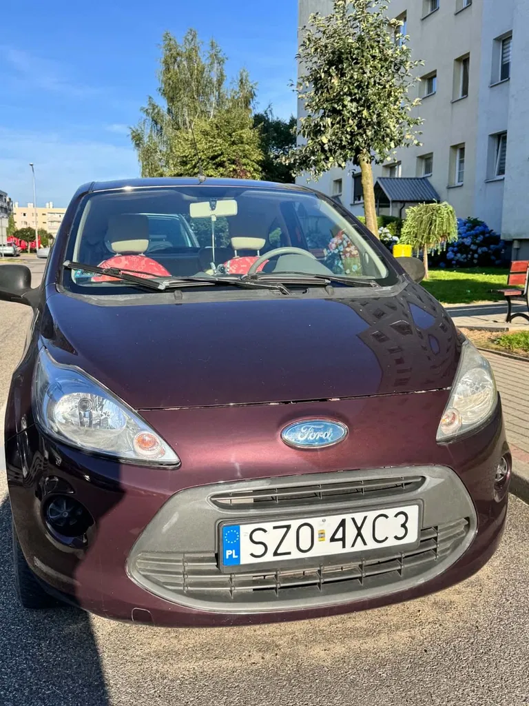 Zdjęcie: 2009 Ford KA