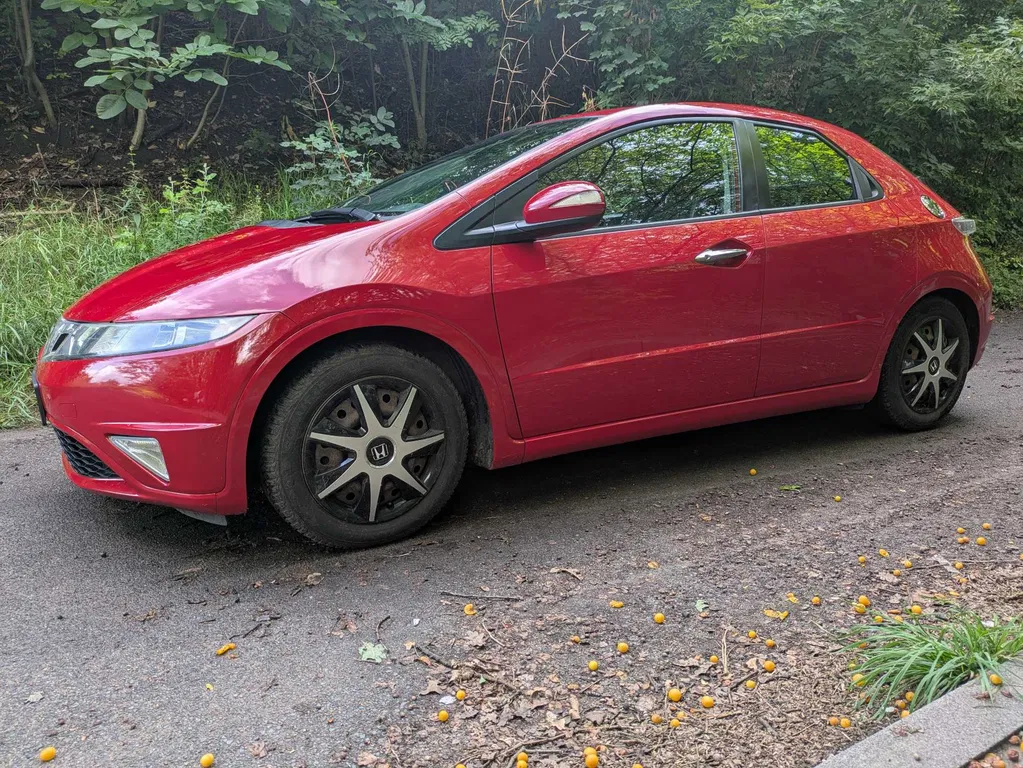 Zdjęcie: 2010 Honda Civic