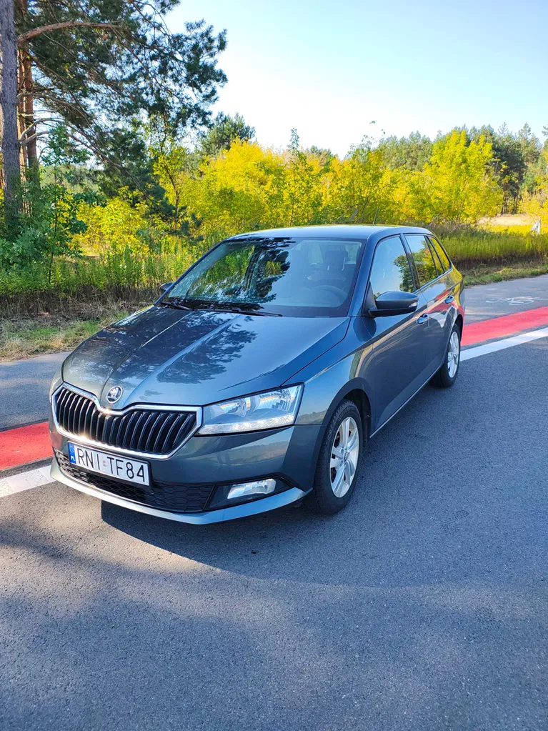 Zdjęcie: 2019 Skoda Fabia