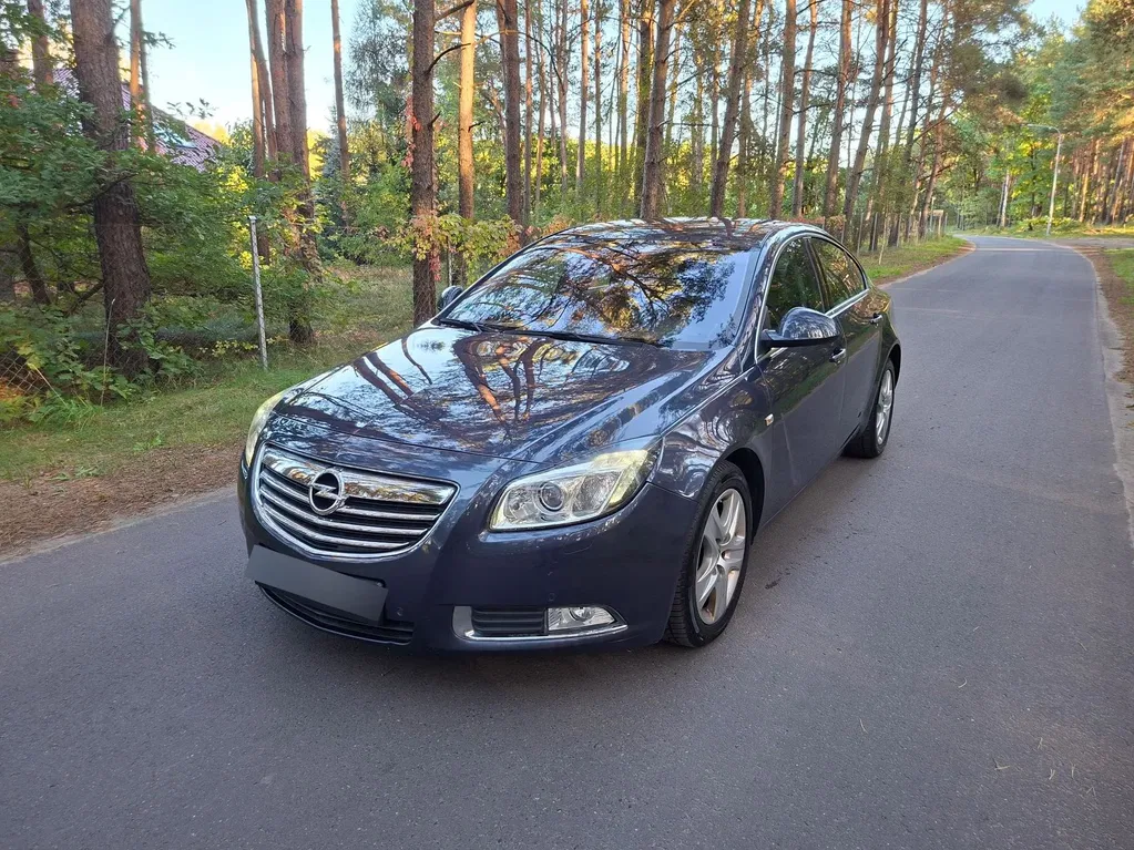 Zdjęcie: 2009 Opel Insignia