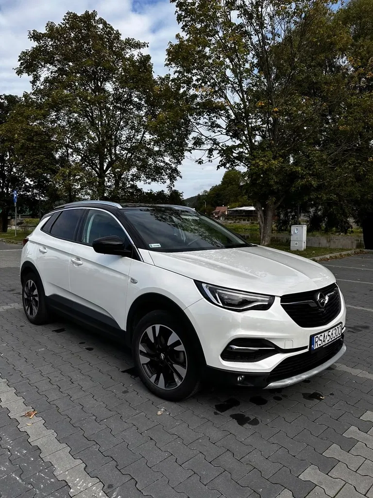 Zdjęcie: 2021 Opel Grandland X