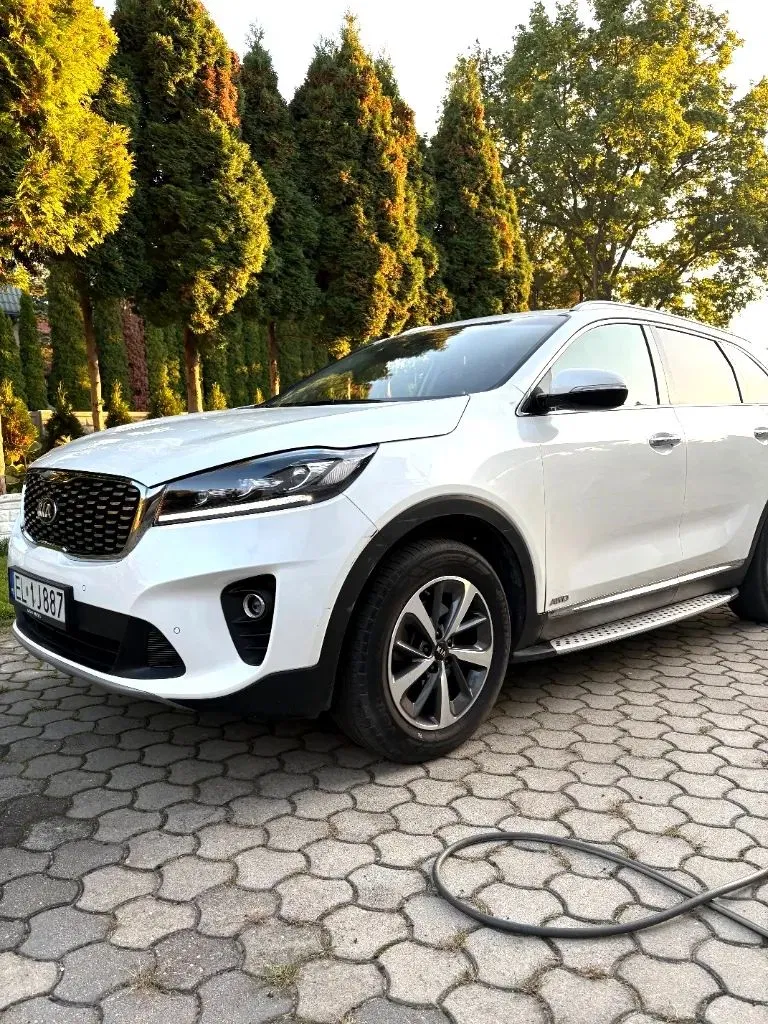 Zdjęcie: 2018 Kia Sorento
