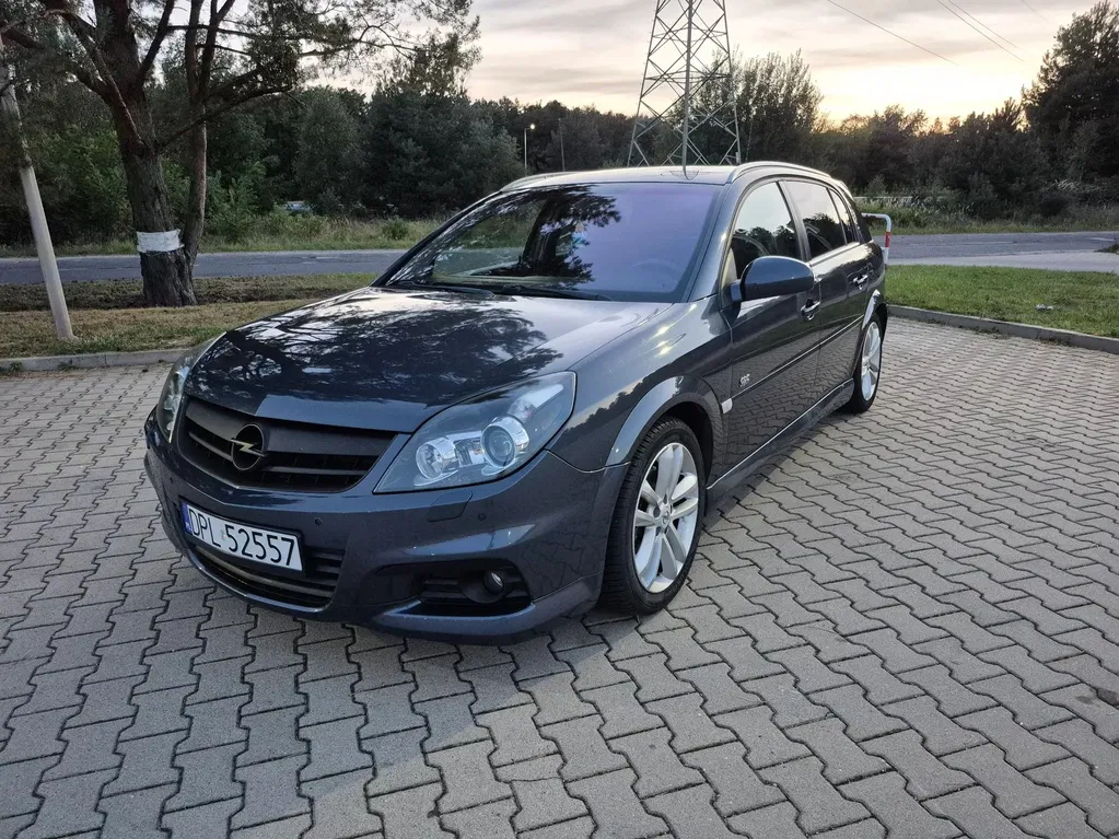 Zdjęcie: 2008 Opel Signum