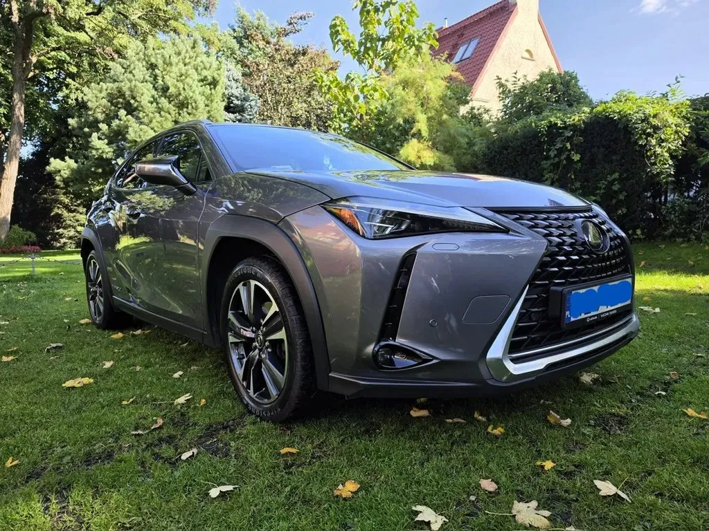 Zdjęcie: 2019 Lexus UX