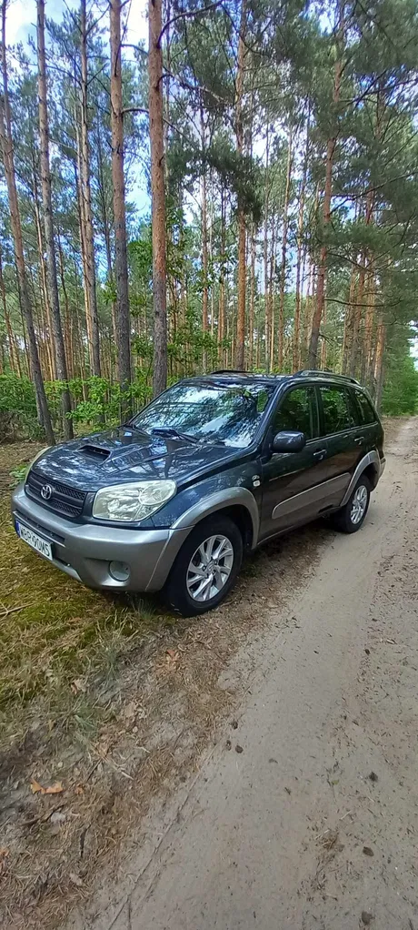 Zdjęcie: 2004 Toyota RAV-4