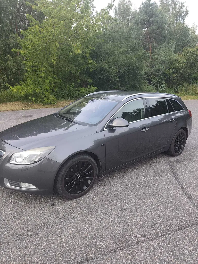 Zdjęcie: 2009 Opel Insignia
