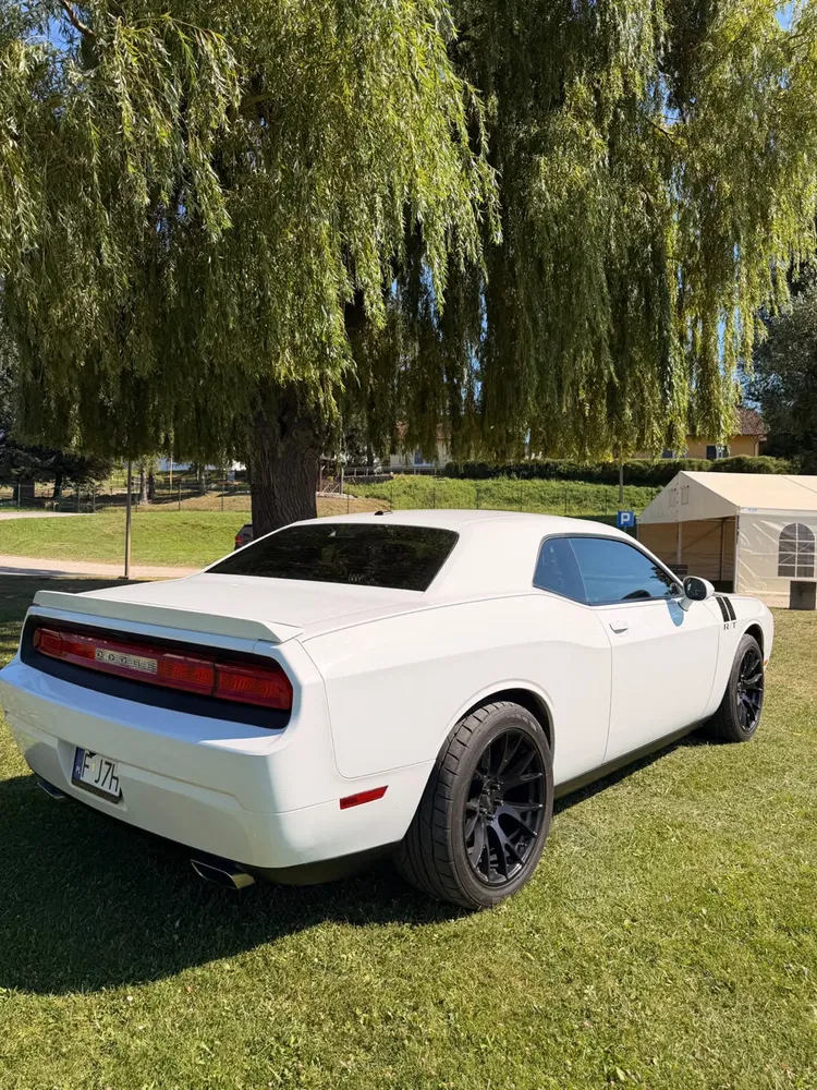 Zdjęcie: 2011 Dodge Challenger