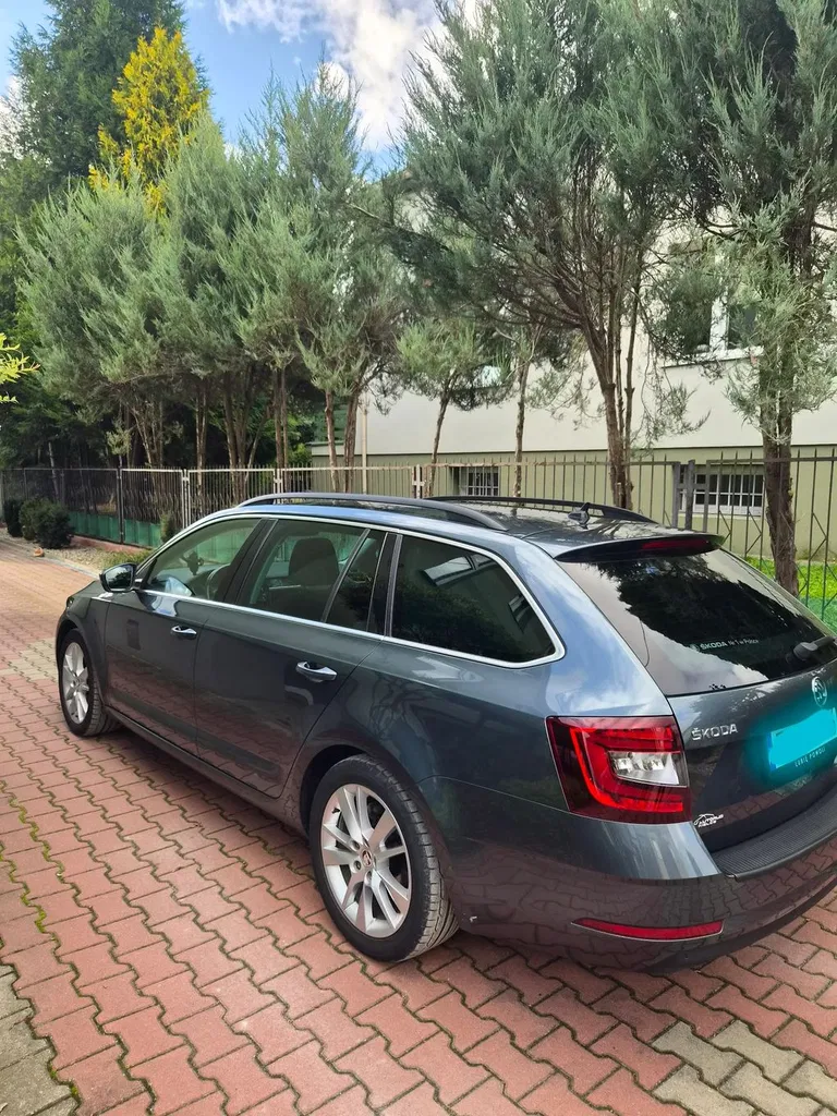 Zdjęcie: 2020 Skoda Octavia