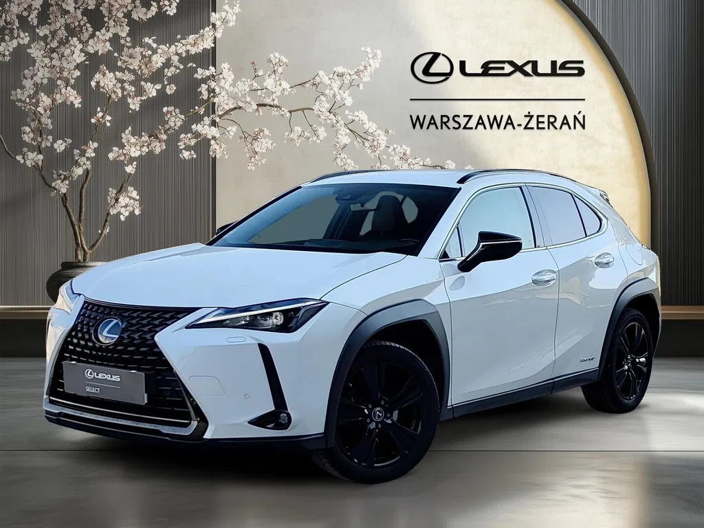 Zdjęcie: 2021 Lexus UX