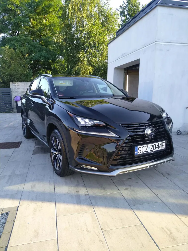 Zdjęcie: 2021 Lexus NX