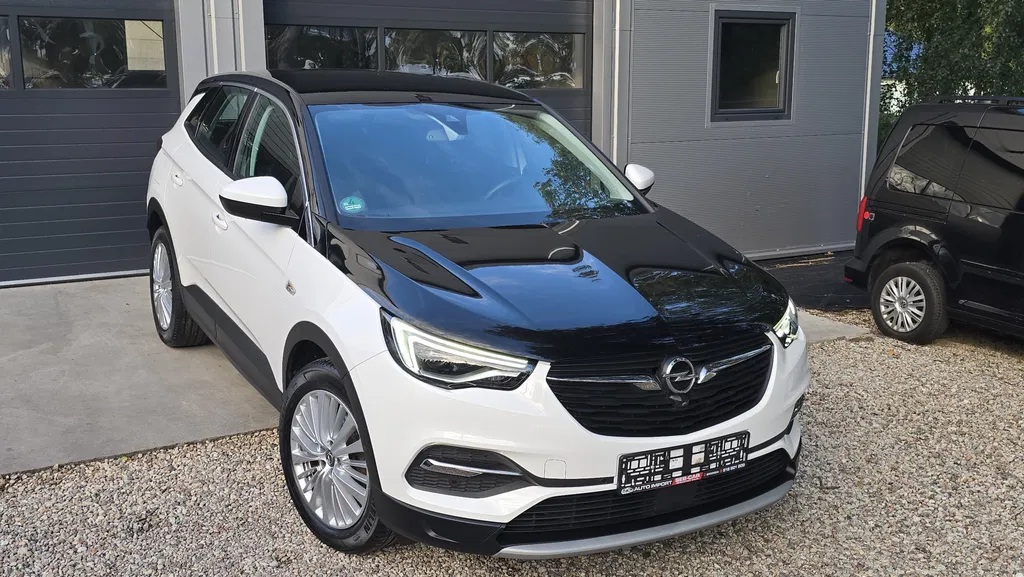 Zdjęcie: 2019 Opel Grandland X