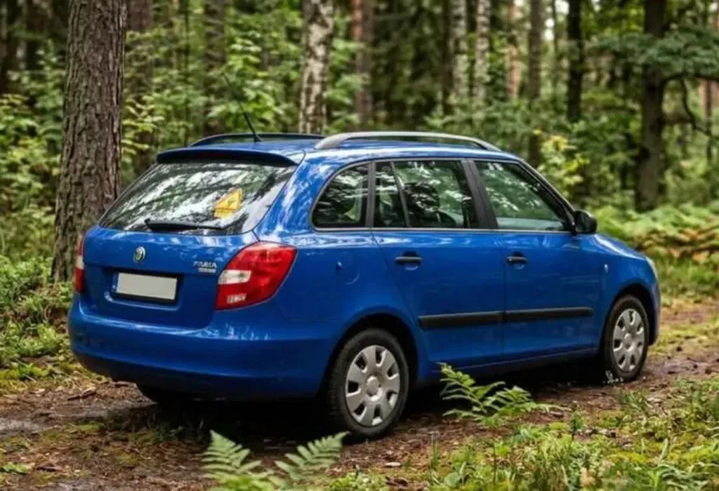 Zdjęcie: 2009 Skoda Fabia