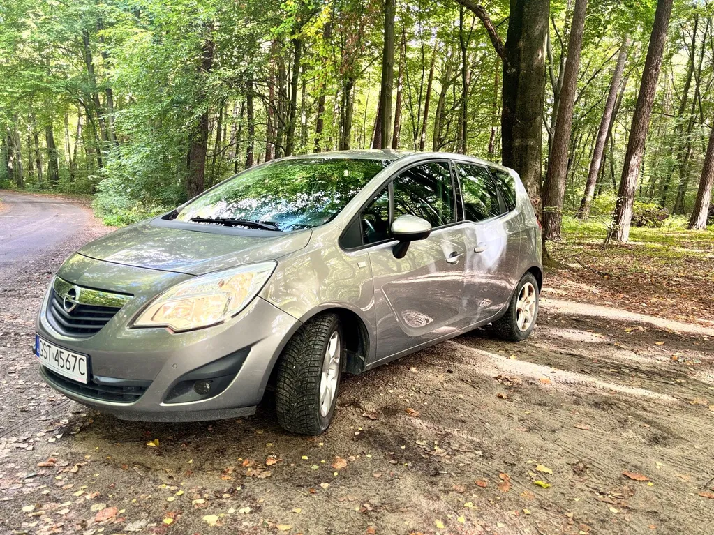 Zdjęcie: 2012 Opel Meriva